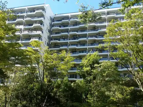 パークシティ溝の口C棟
