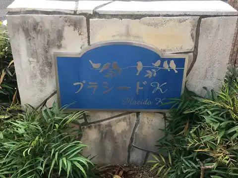 プラシードK