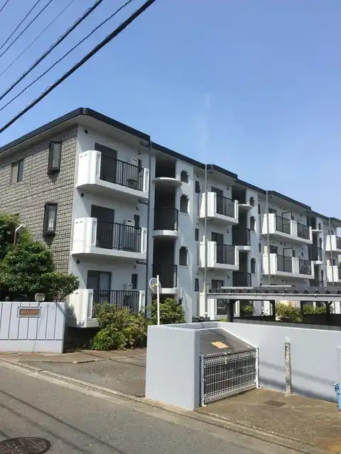 湘南ルミネンス