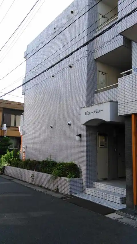 ビューバレー