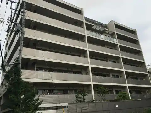 ミオカステーロ柿生
