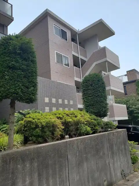 アン坂光