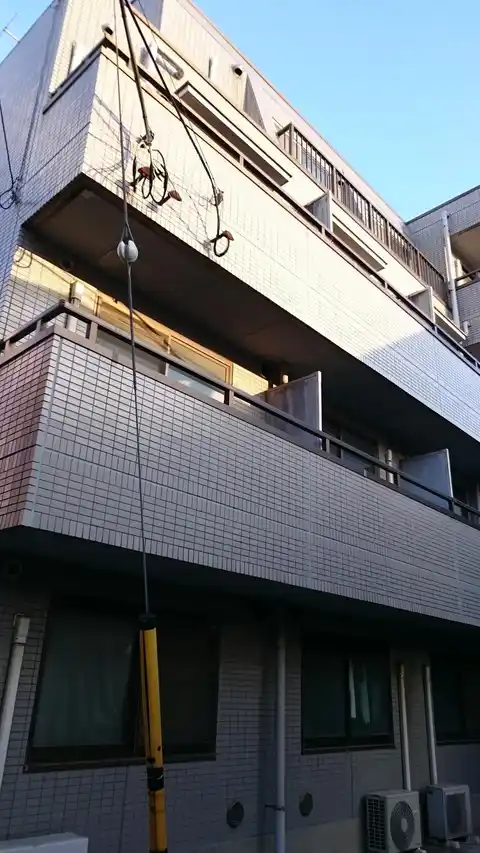 シャトレレグルス