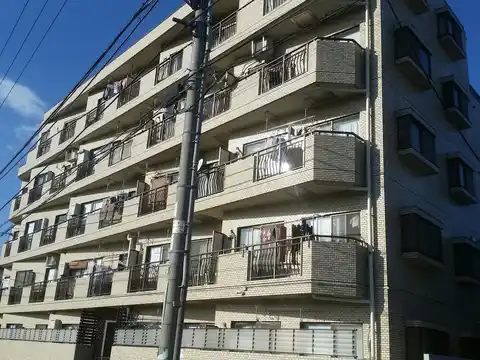 プエンテ・リバロ玉川