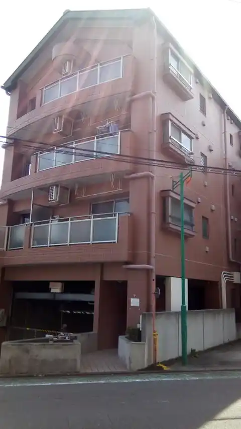 コートブラウン五番