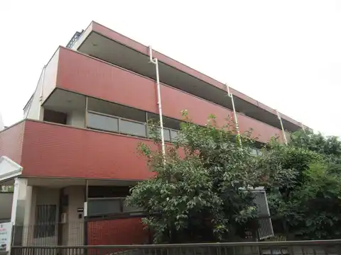 プティパレドゥ絹