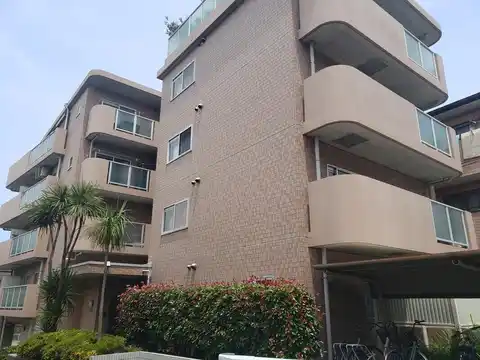 ドゥ坂光