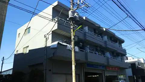 ドリーム・セイジョー