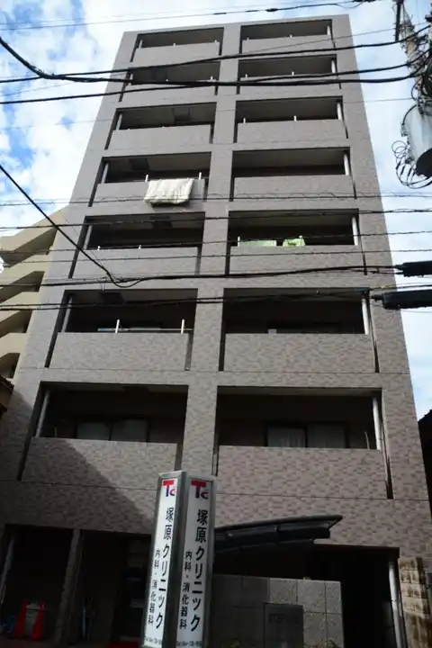 STEPS-3