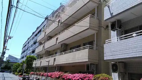 武蔵小杉マンション