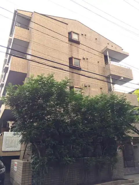 ドルフ中村