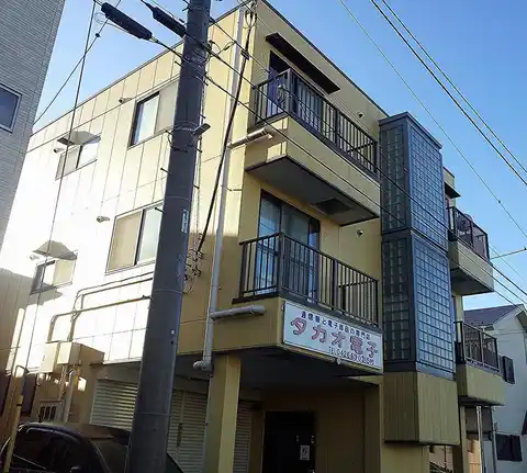 梓