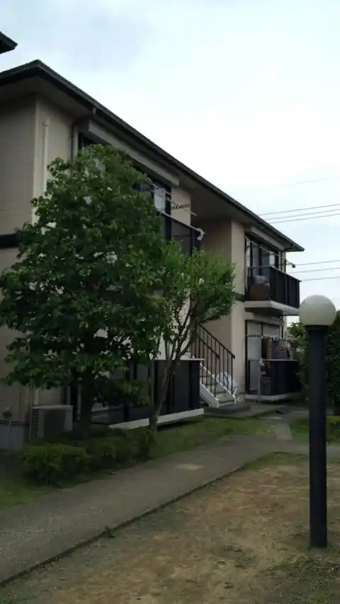 ベルコテーC