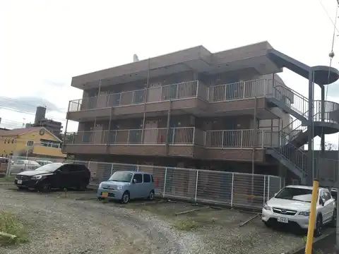 ステラ