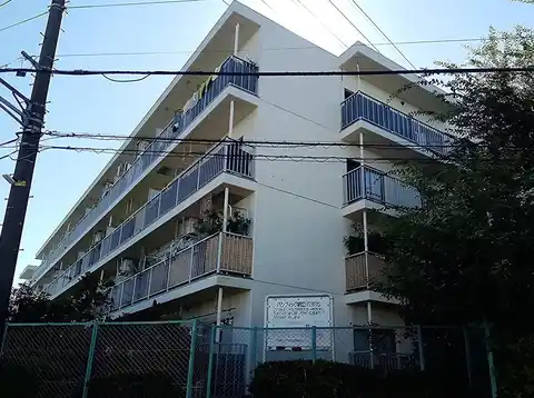 パシフィック綱島