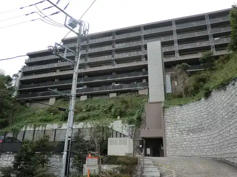 アデニウム鎌倉山