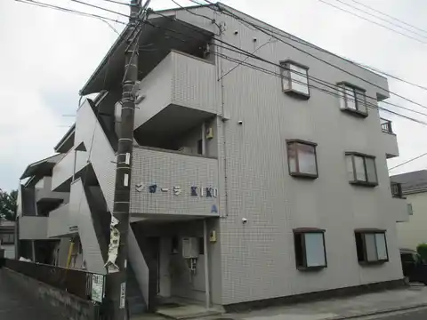 フローラキクA