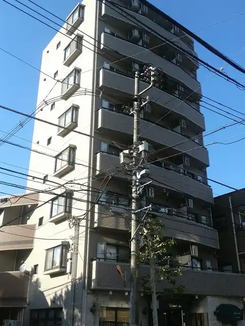 パーシモン