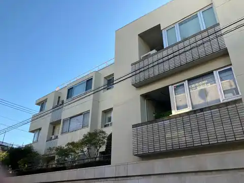 陽輪台松濤