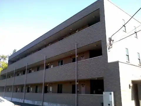 アンプルールフェールドリーミ