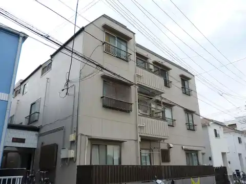 秋桜林