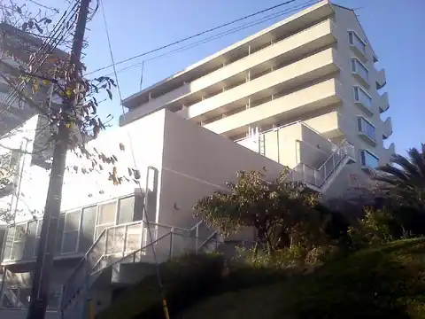 コージィーコート