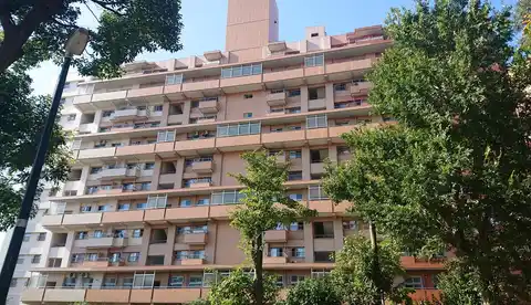 若葉台団地2-25号棟