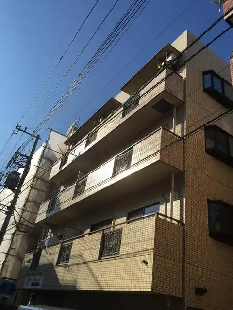 グレースシマ