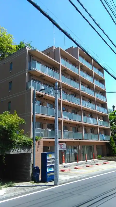 ベルパーシモン