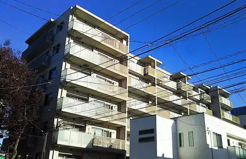 ウィルローズ市が尾