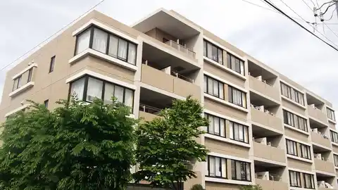 トロン・ド・ラシーヌ