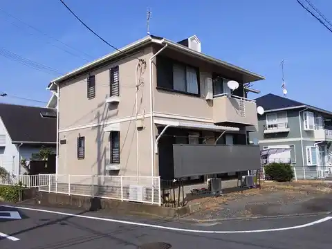パラシオン
