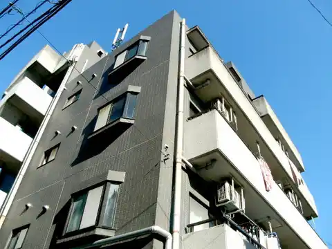 エス・テイ