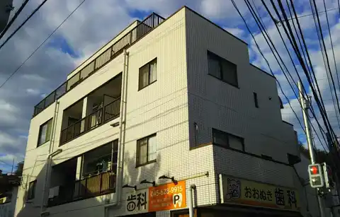 サンフラワー