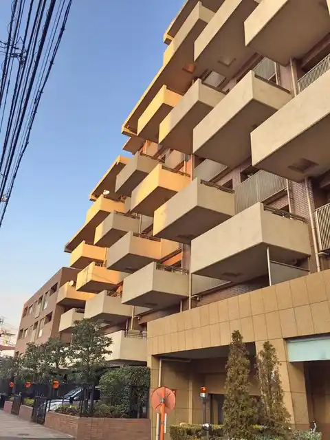 アデニウム武蔵小山