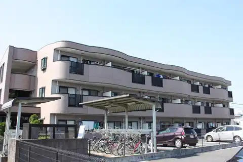 パープルタウン