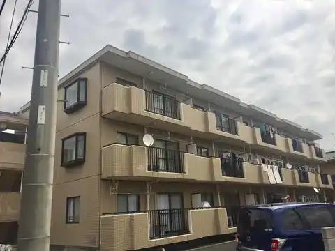 スプルースコート