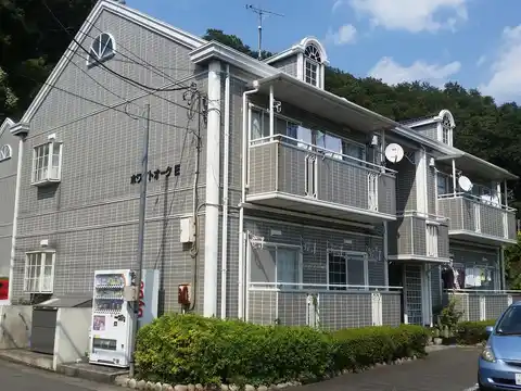 ホワイトオークE