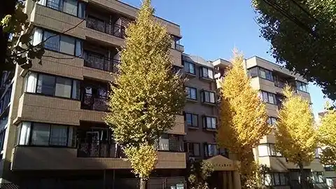 サンハイム藤が丘
