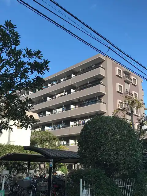エバーグリーンコート