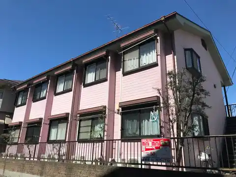 ステラ