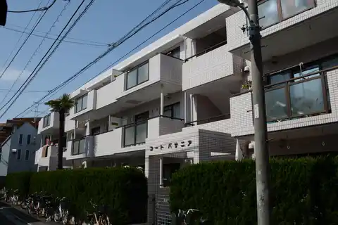 コートパサニア