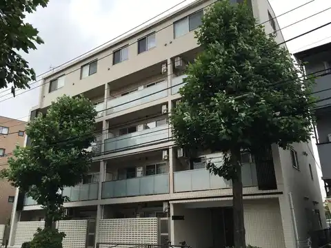 casa perrito blanco