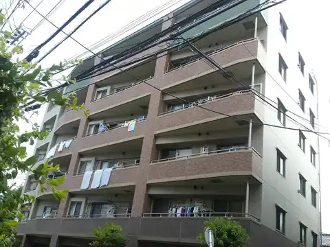 セザールレレガン溝の口