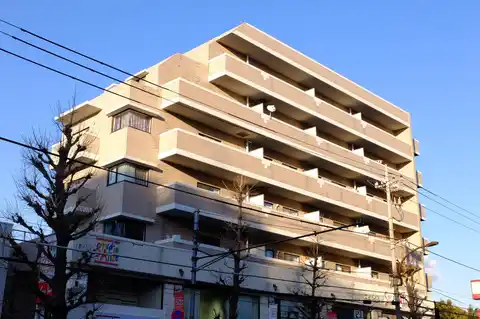 チェスナットヒルズ