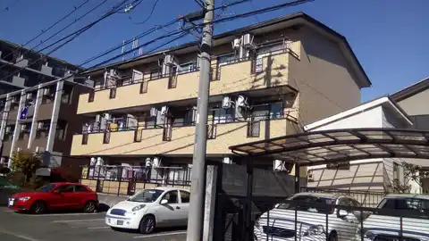 グレイスオオサワ