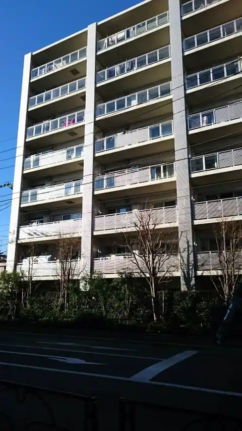 ライオンズ石神井サウスマークス