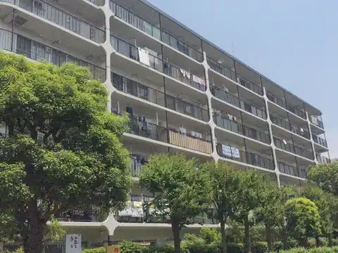 ハイラーク横浜白山