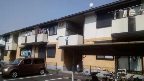 イージーパープル幸花