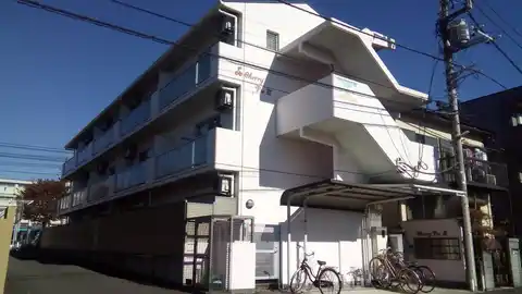 チェリーパイ3